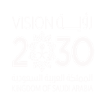 رؤية 2030